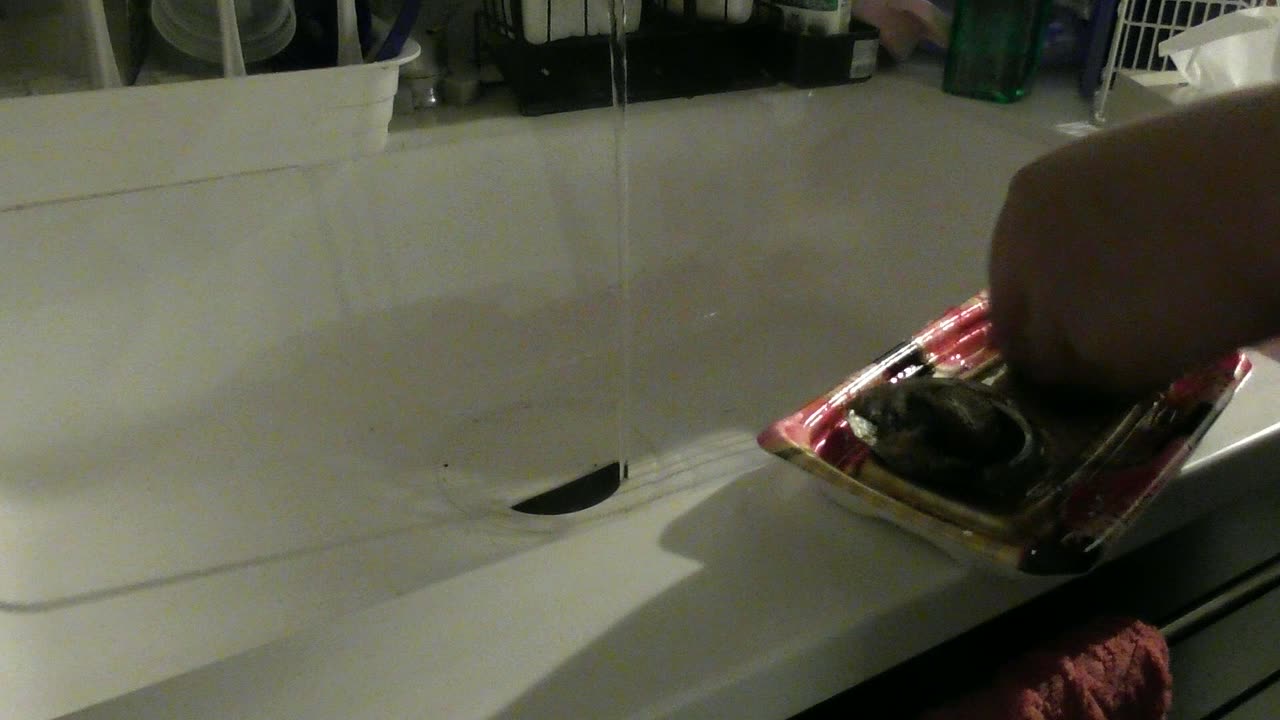 流しで、トレーの鮑を水で洗っているところ