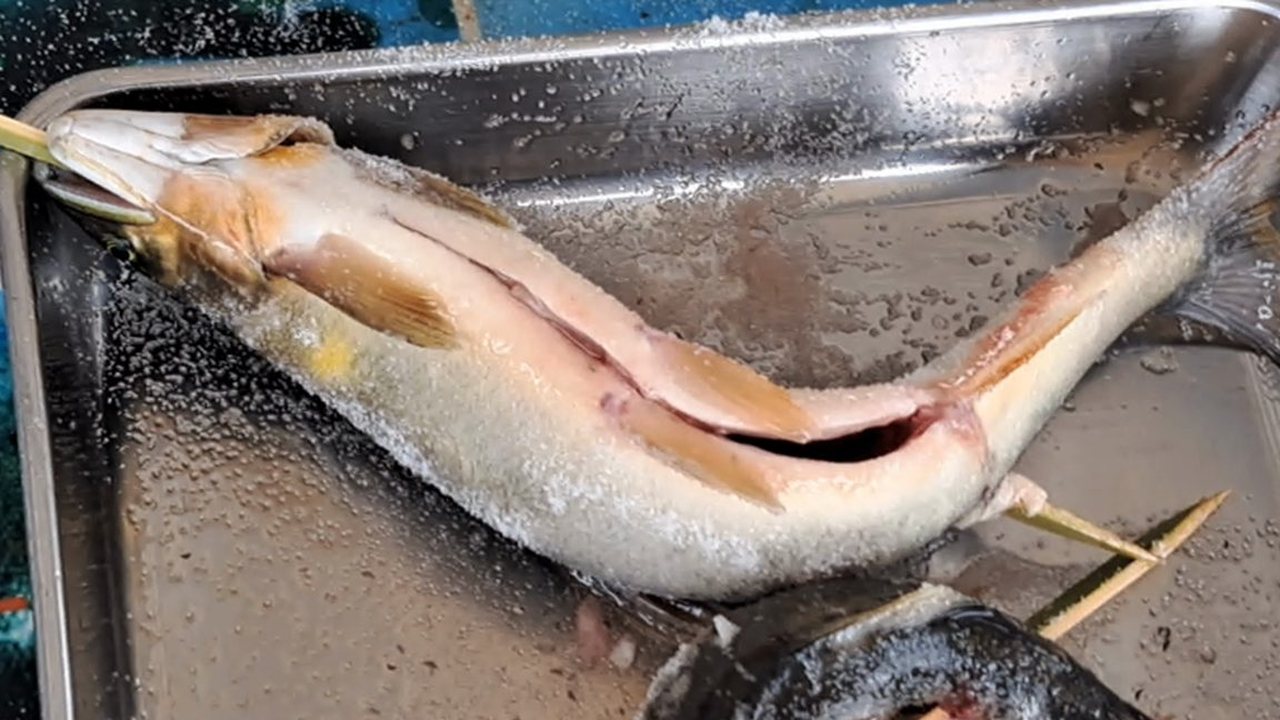 体をくねらせて竹串を打ち、塩をふった鮎