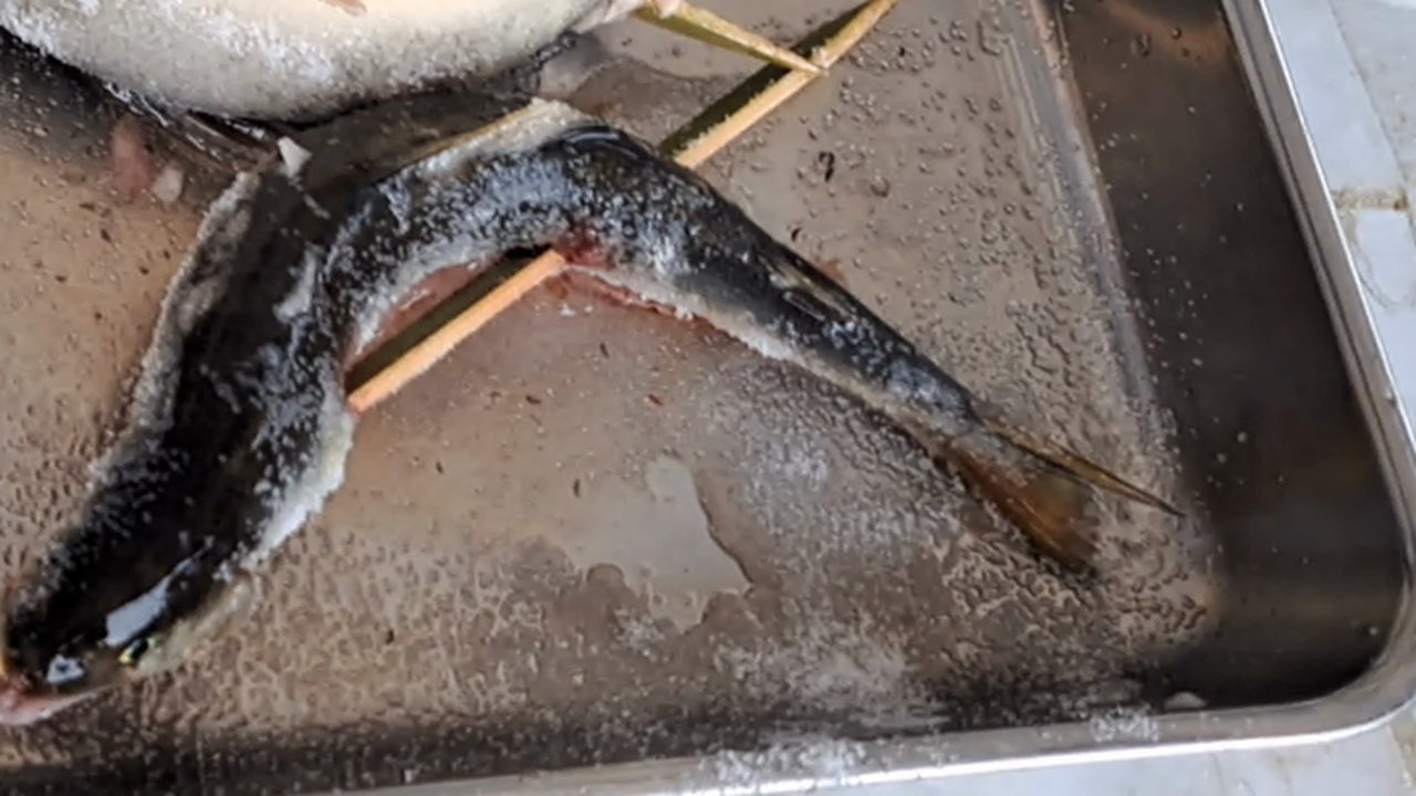 塩をまぶして真っ白になった串打ちの鮎