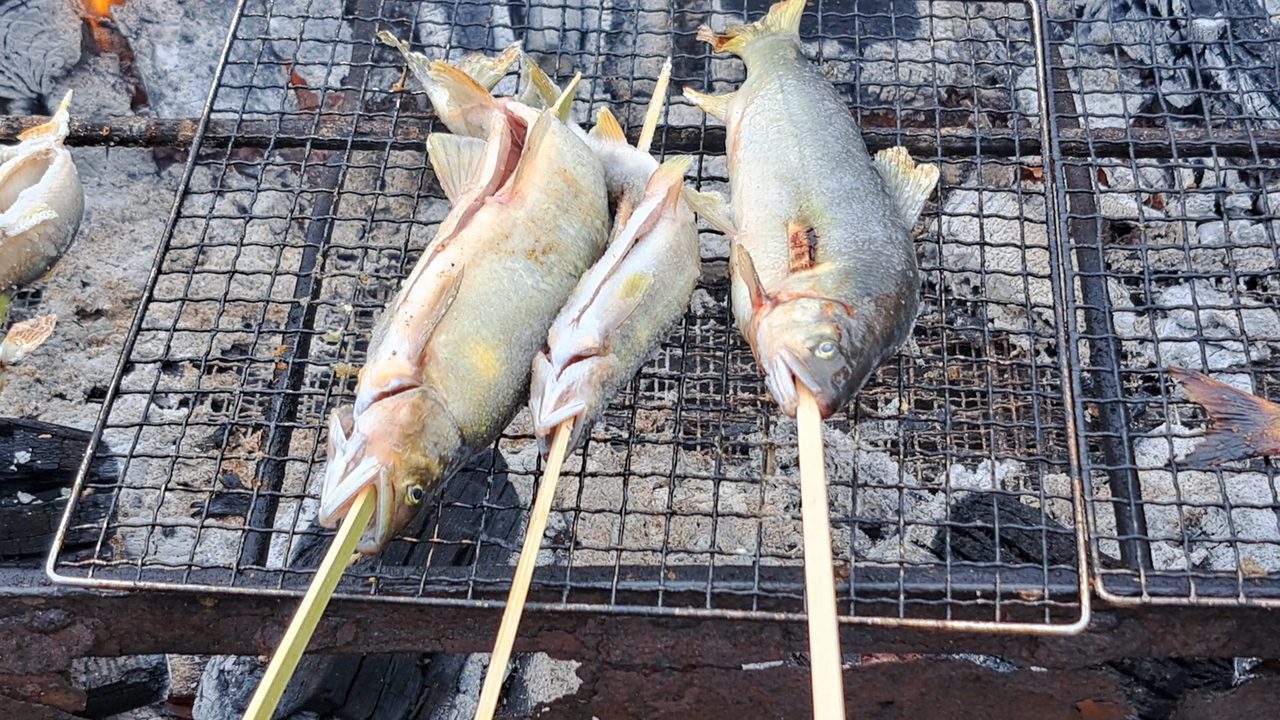 炭火の焼き台で網に立てかけて焼き始めた串打ちの鮎3本
