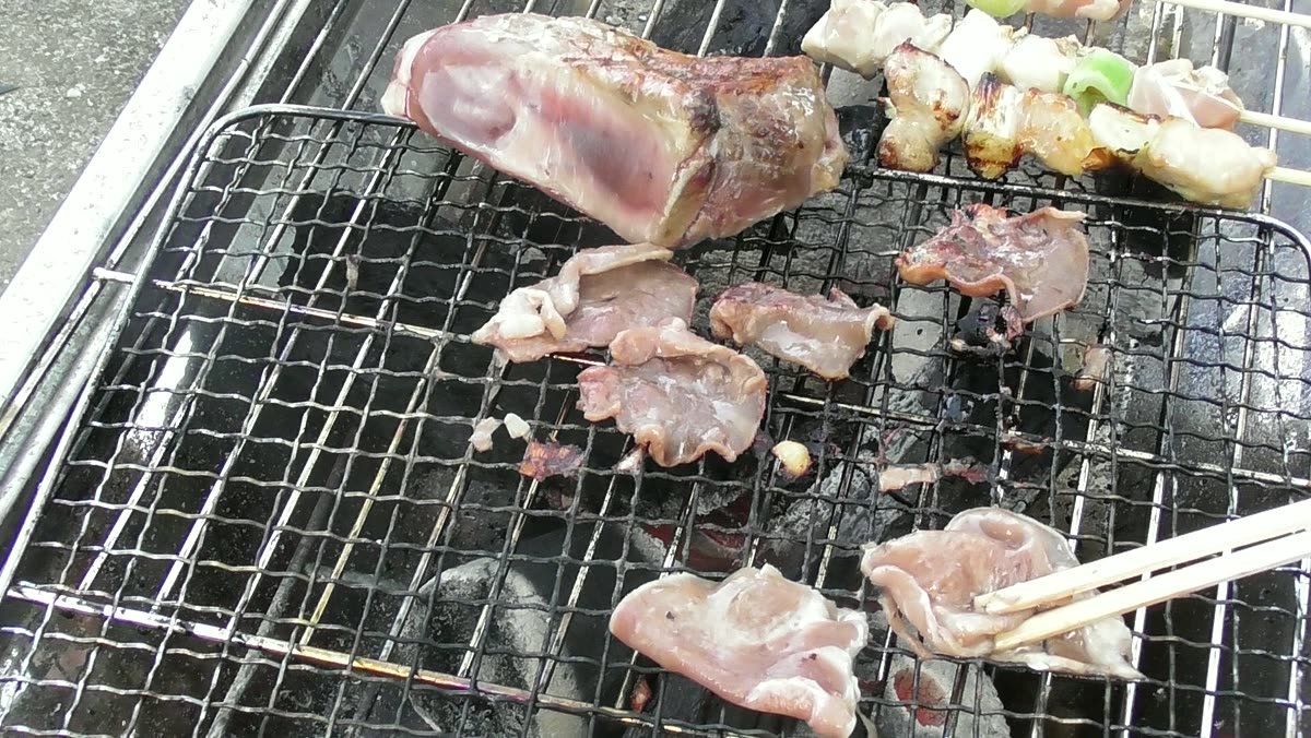 網が2枚に分かれたバーベキューコンロの上で焼いている肉