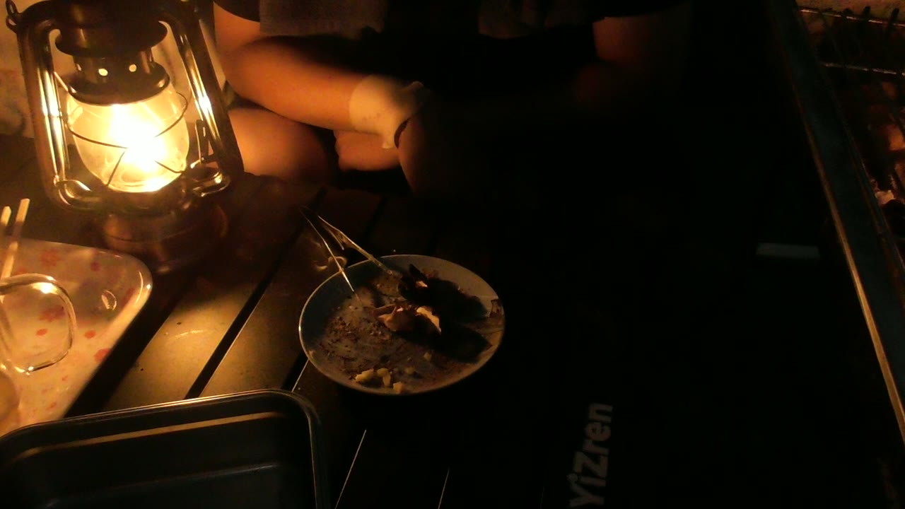 ランタンの明かりだけの庭