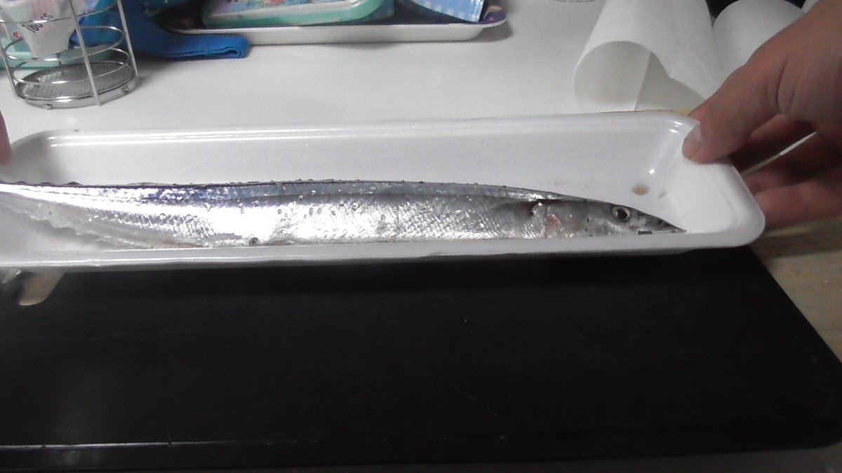 キッチンペーパーの上でねかせた秋刀魚