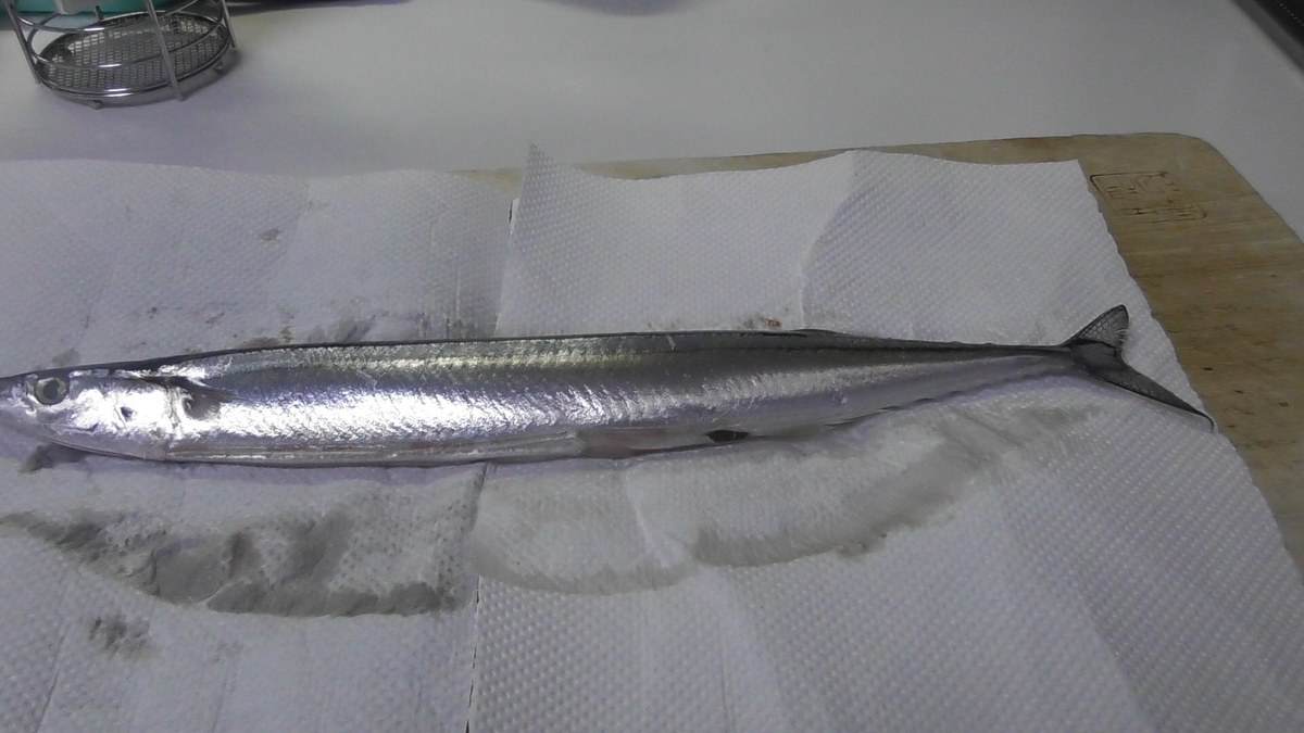 塩をふった秋刀魚